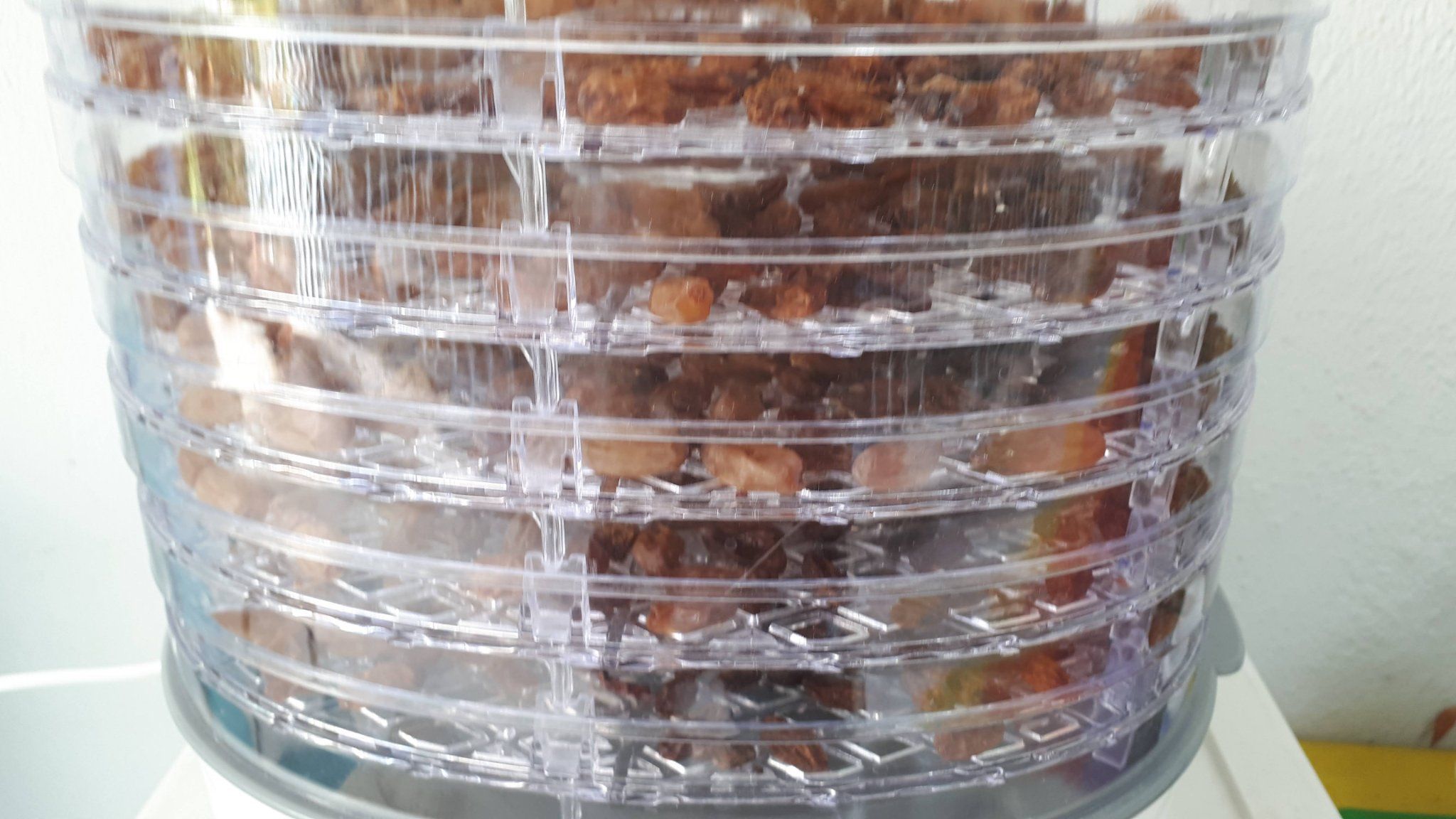 συνταγή-για-σταφίδες-