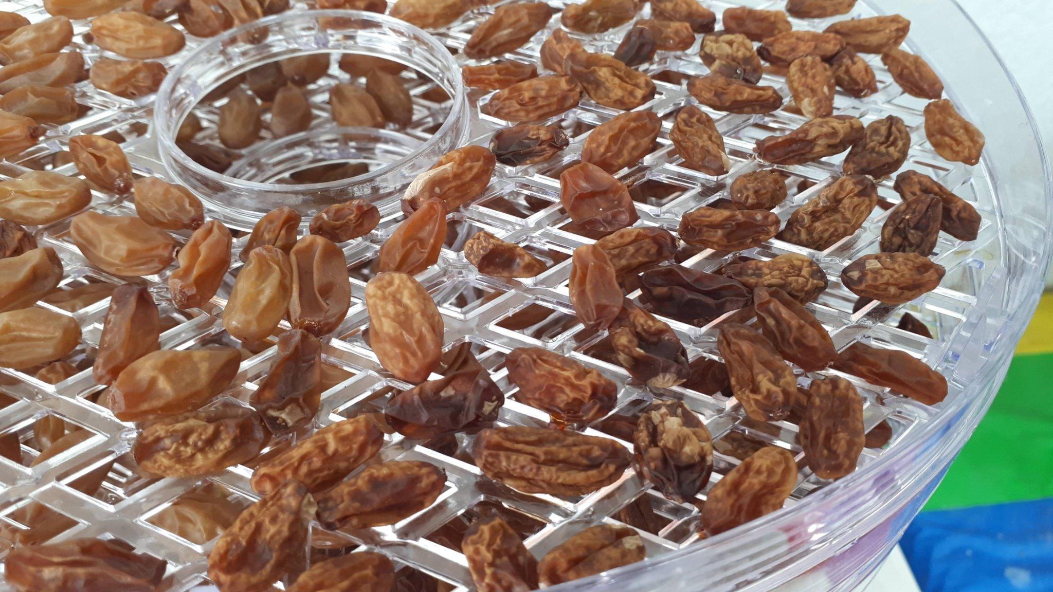 συνταγή-για-σταφίδες-