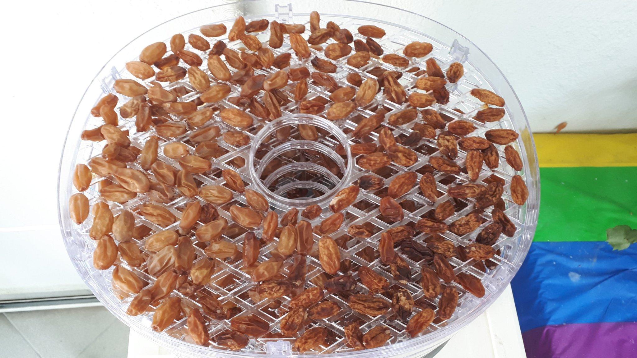 συνταγή-για-σταφίδες-