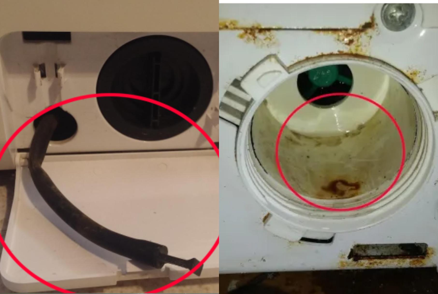 Πλυντήριο Ρούχων: Πλήρης οδηγός για να το καθαρίσετε από το συρτάρι μέχρι τον κάδο