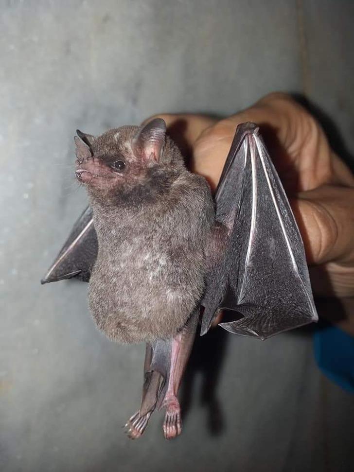 20-άγνωστες πληροφορίες-για-τον-κόσμο-