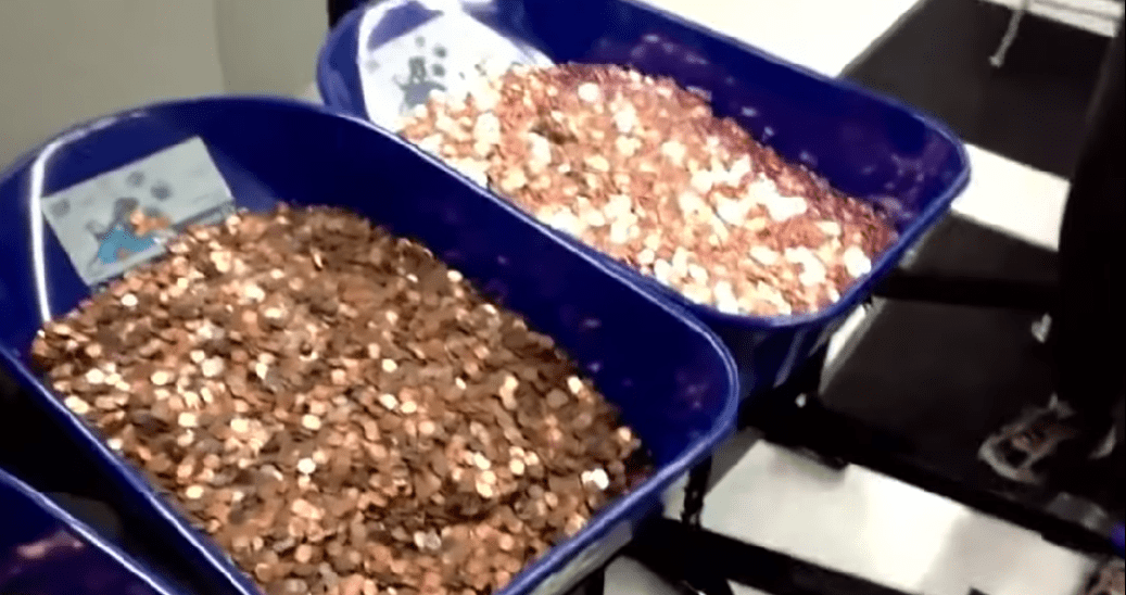 Απίστευτο: Άνδρας κουβάλησε 5 καρότσια για να πληρώσει τον φόρο αξίας 2.600 ευρώ