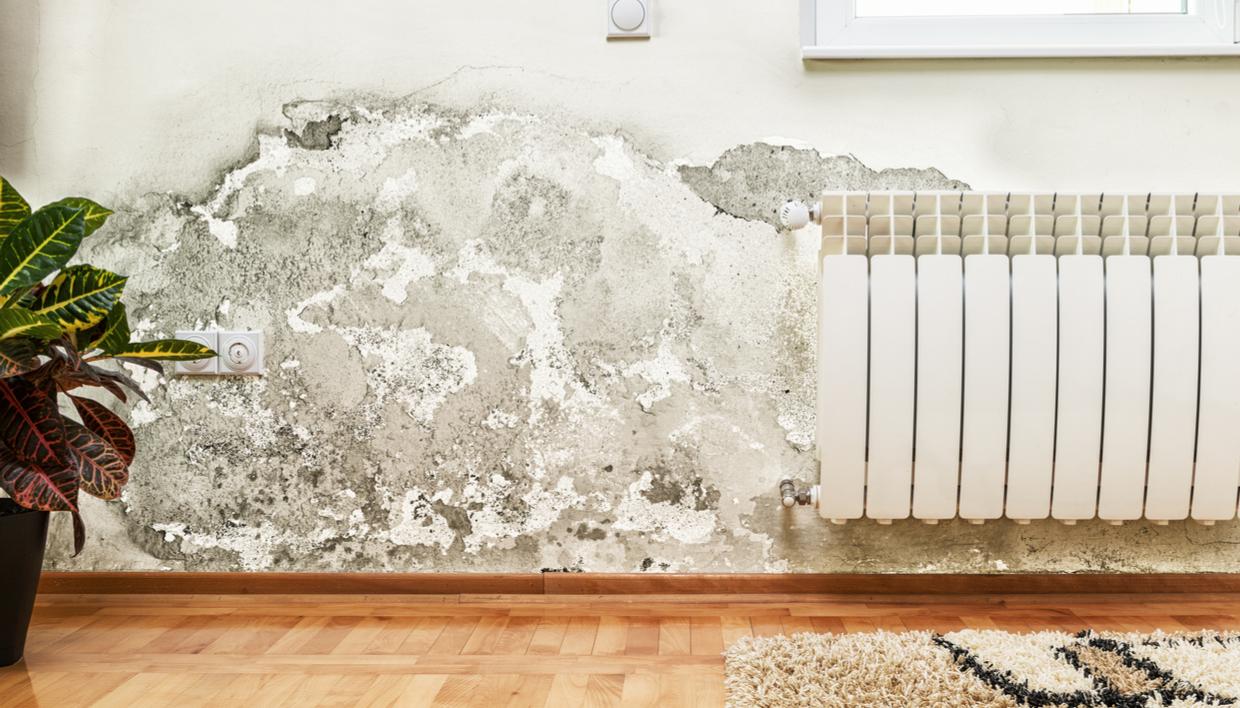φουσκωμένοι τοίχοι-από-υγρασία-σπιτικό καθαριστικό-για-την-μούχλα-