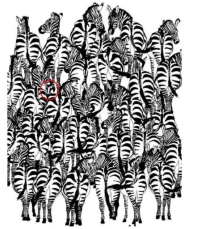 Τεστ παρατηρητικότητας-βρες-το-κρυμμένο ζώο-σε-15 δευτερόλεπτα-