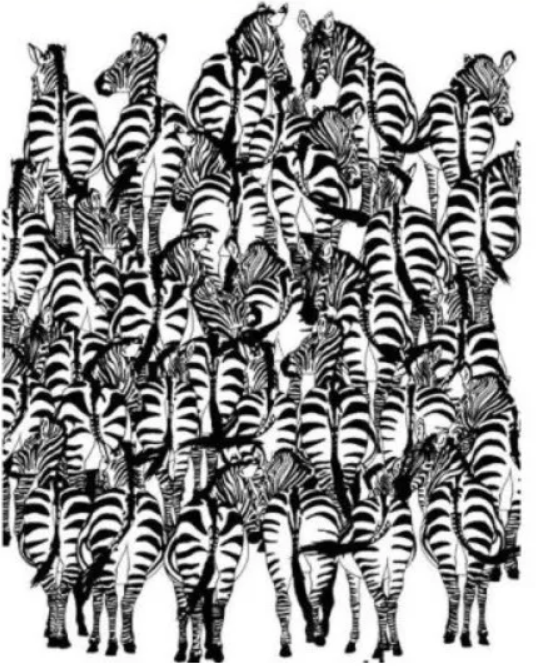 Τεστ παρατηρητικότητας-βρες-το-κρυμμένο ζώο-σε-15 δευτερόλεπτα-