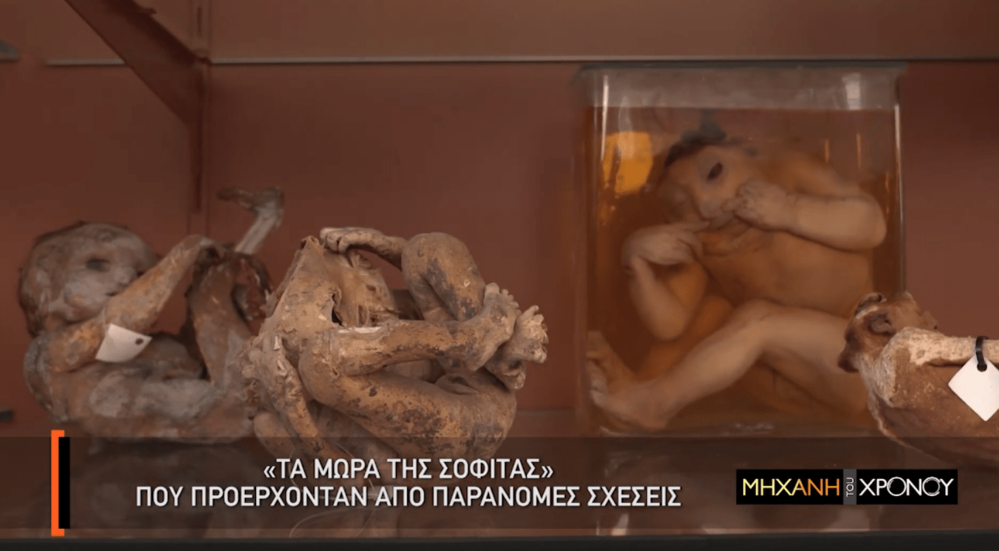 Τα μωρά της σοφίτας-τα-πετούσαν-στις-στέγες-επειδή-είχαν-γενετικές ανωμαλίες-ή-δεν-τα-ήθελαν- Τα μωρά της σοφίτας-τα-πετούσαν-στις-στέγες-επειδή-είχαν-γενετικές ανωμαλίες-ή-δεν-τα-ήθελαν-