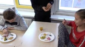 Έχουν τρελαθεί: Σε σχολεία δίνουν σε μαθητές να φάνε αλευροσκώληκες και έντομα (βίντεο)
