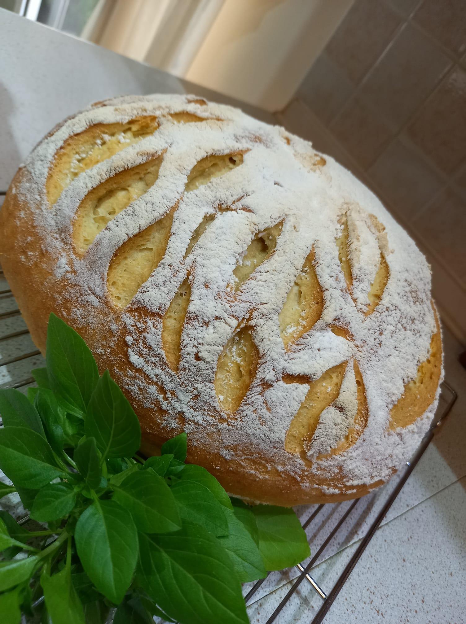 συνταγή-για-χωριάτικο ψωμί-