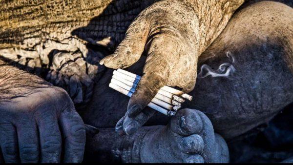 πέθανε-ο-πιο-βρώμικος άνθρωπος του κόσμου-Ιράν-