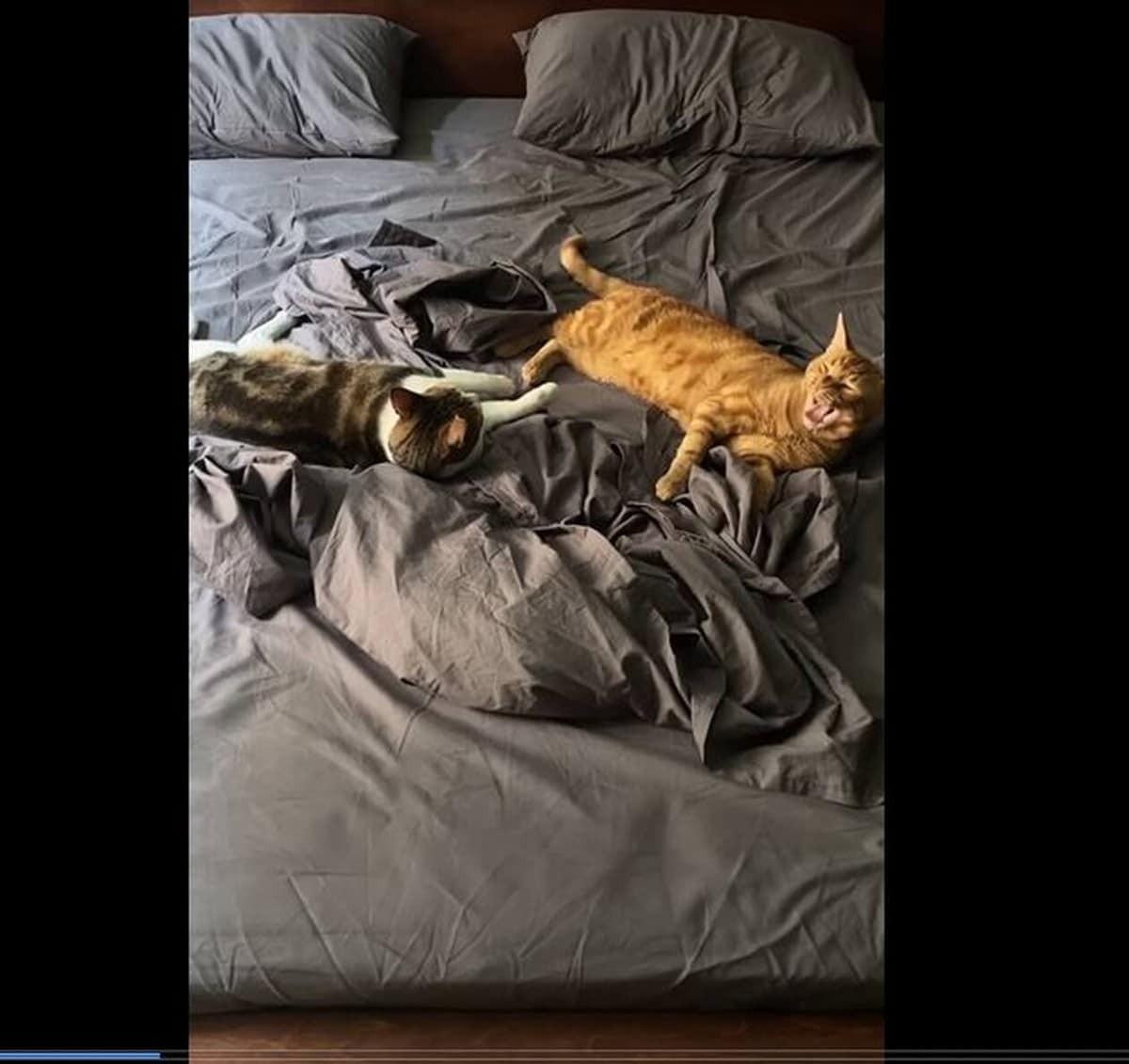 Μιχάλης Λεβεντογιάννης: Το μοντέρνο σπίτι του που θα ζήλευε ο καθένας!!