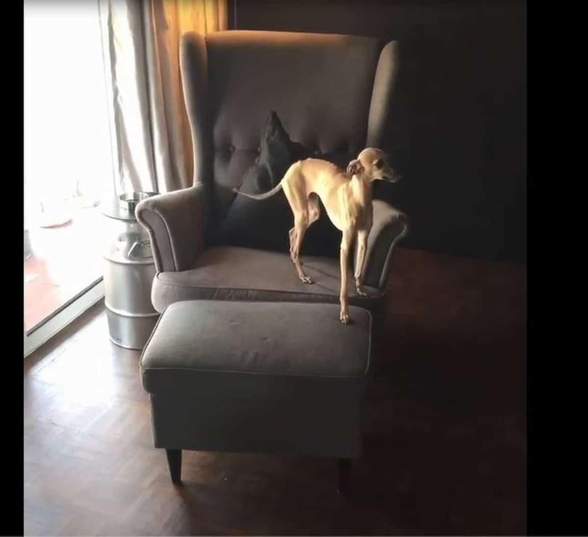 Μιχάλης Λεβεντογιάννης: Το μοντέρνο σπίτι του που θα ζήλευε ο καθένας!!