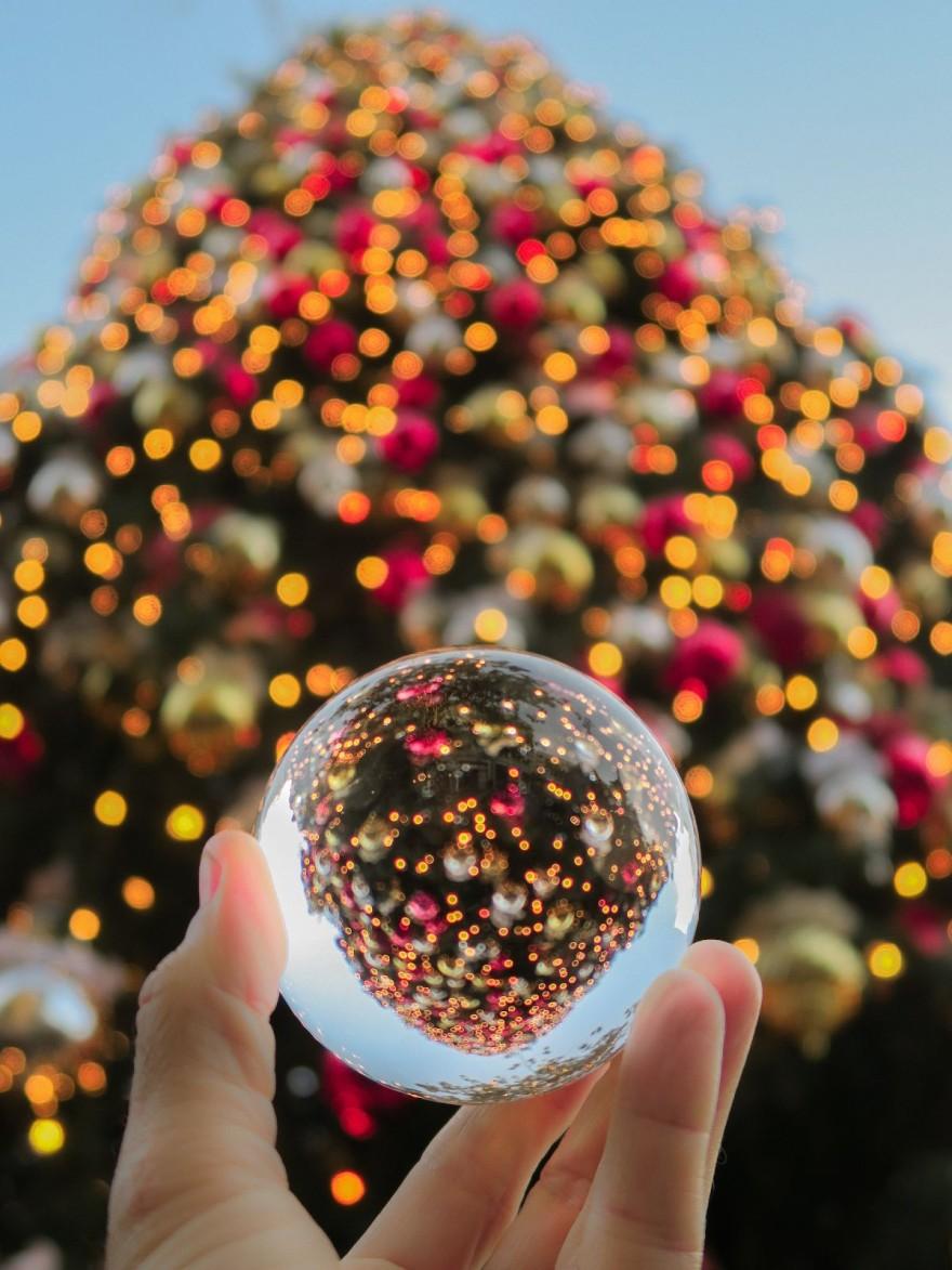 Χριστουγεννιάτικο δέντρο : Αυτή είναι η κατάλληλη θέση του Χριστουγεννιάτικου δέντρου στο σπίτι σύμφωνα με το Feng Shui