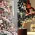 Χριστουγεννιάτικο δέντρο : Αυτή είναι η κατάλληλη θέση του Χριστουγεννιάτικου δέντρου στο σπίτι σύμφωνα με το Feng Shui