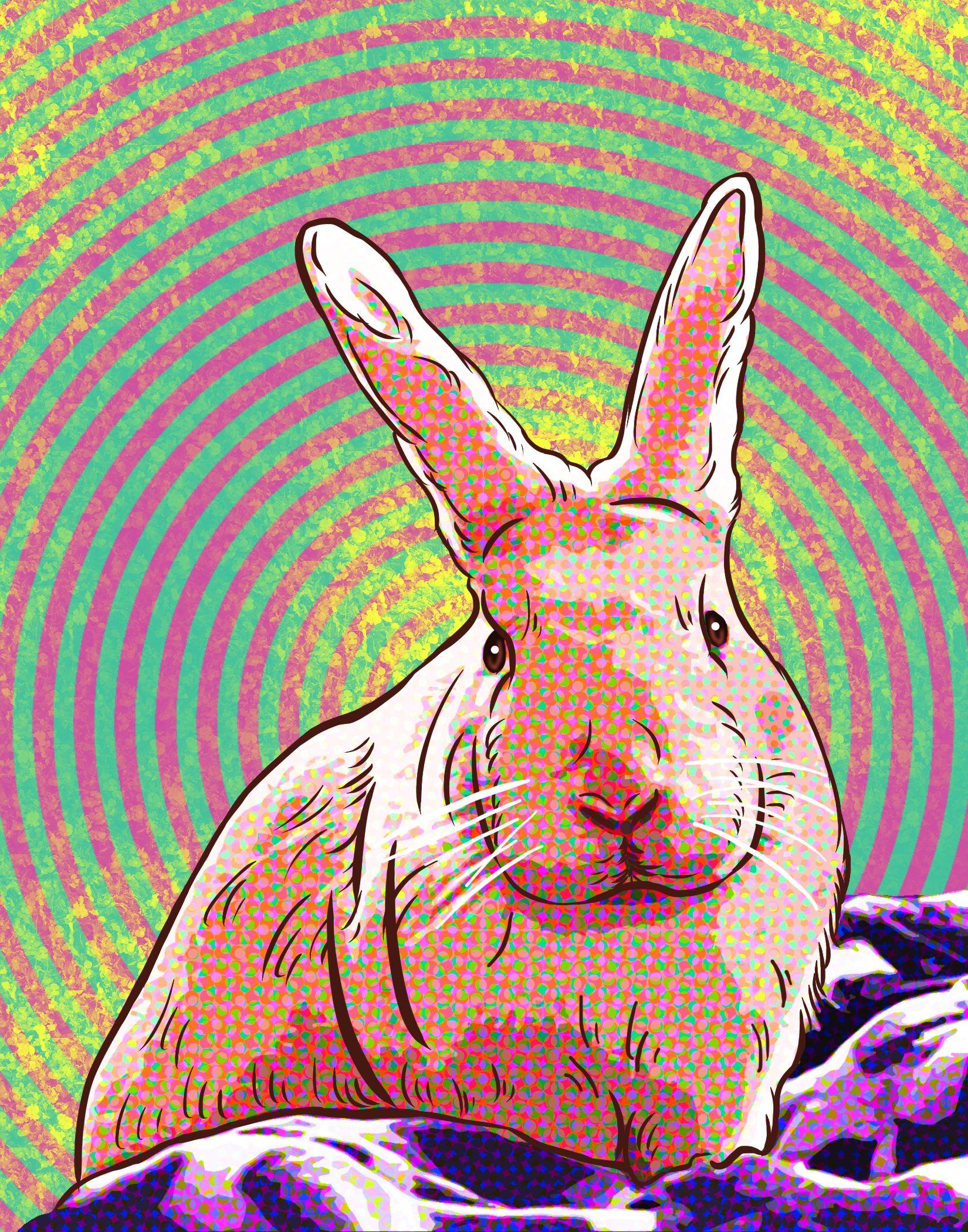 Κινέζικο ωροσκόπιο-2023-ετήσιες προβλέψεις- Κινέζικο ωροσκόπιο-2023-ετήσιες προβλέψεις-