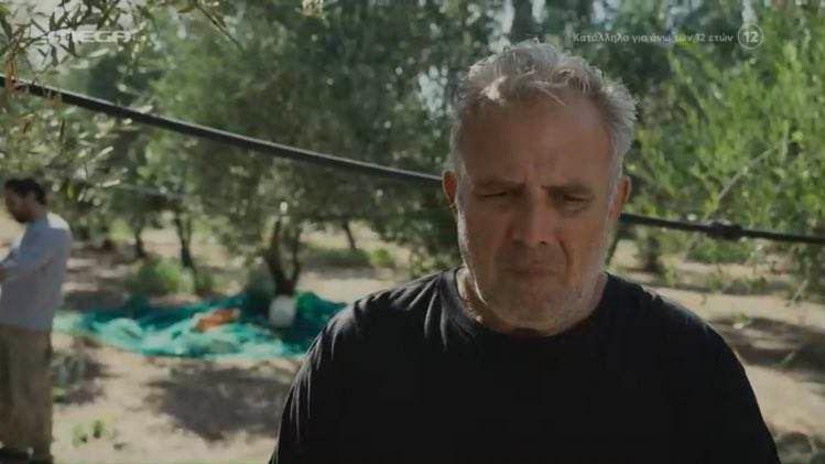 Η Γη της Ελιάς-Στάθης- Η Γη της Ελιάς-Στάθης-