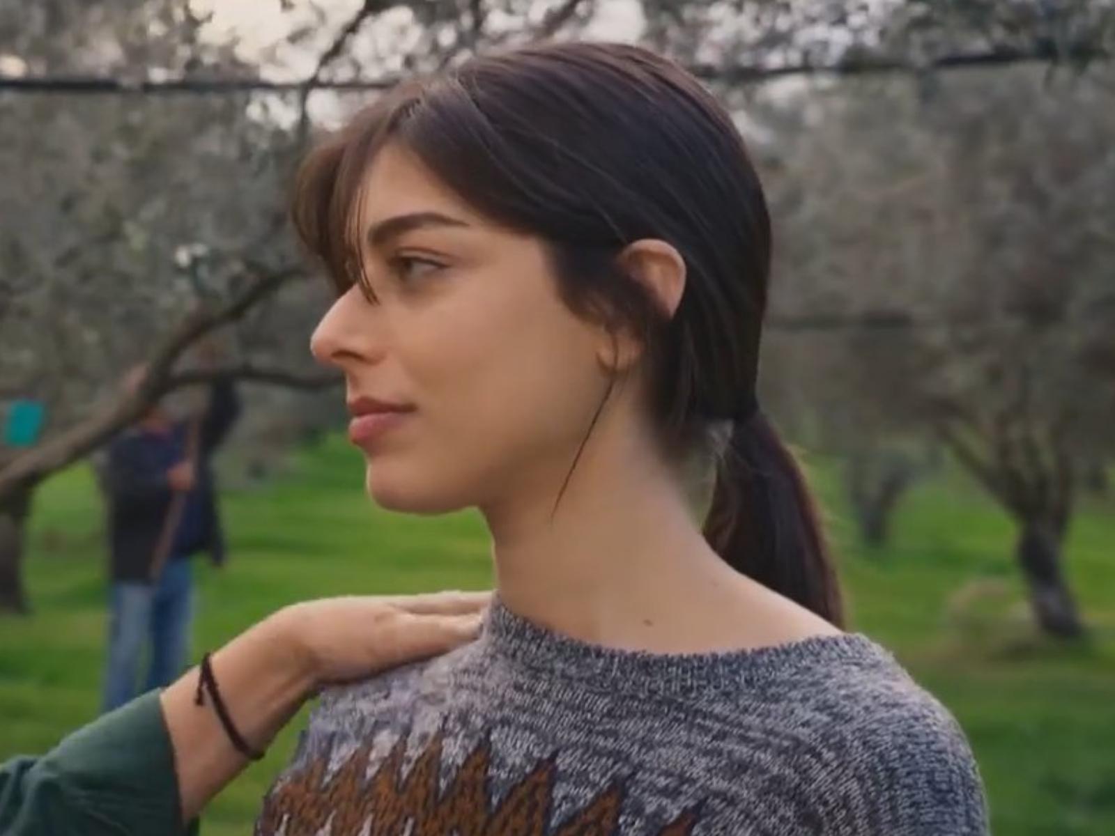 Η-Γη-της-Ελιάς-Ευτυχία