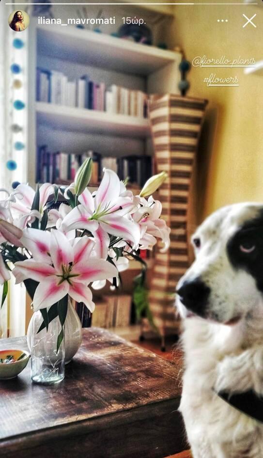 Ηλιάνα Μαυρομάτη : Η Ζέτα απο το αυτή η νύχτα μένει μας δείχνει το σπίτι της