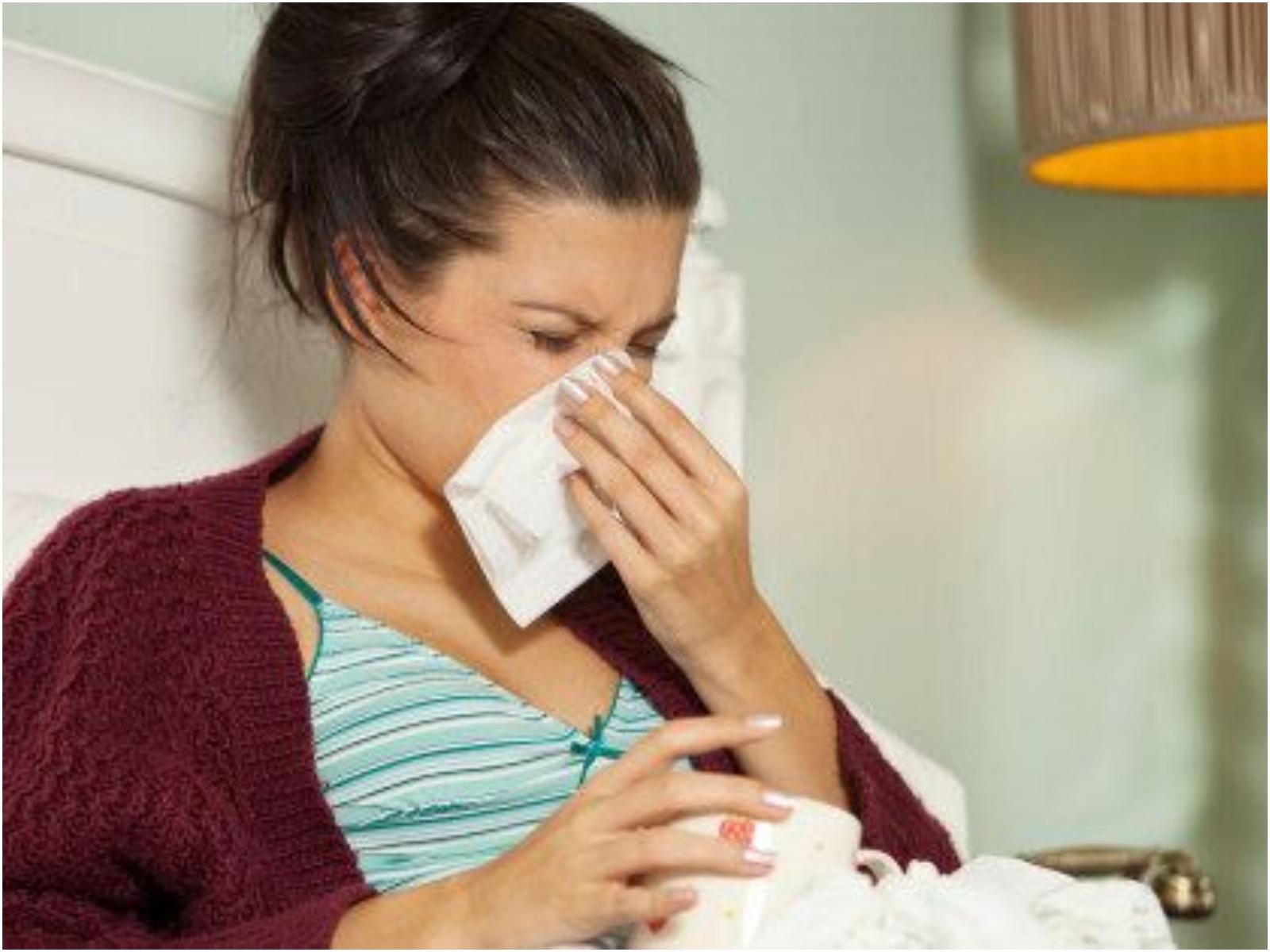 Σαμπούκος: Το φυτό που βγάζει εκτός όλες τις ιώσεις