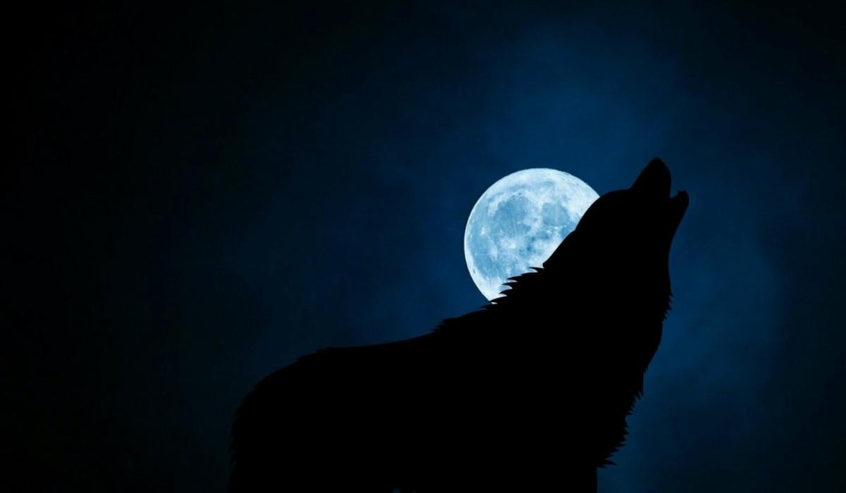 Φεγγάρι του λύκου : Τι είναι η μικρό Σελήνη του Ιανουαρίου και ποτέ πέφτει
