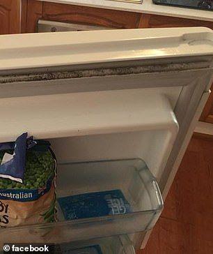 σπιτικό καθαριστικό-για-μούχλα-λίπη-άλατα-