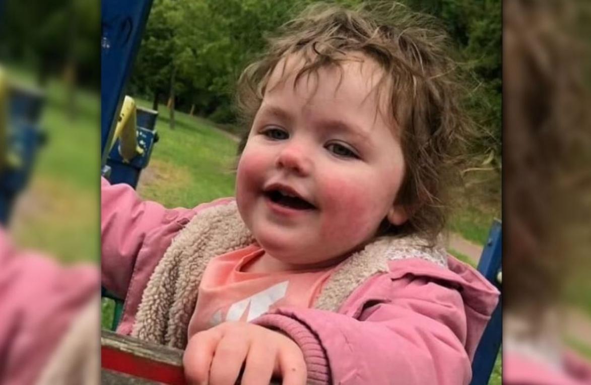 Σοκ, σκύλος κατασπάραξε τετράχρονο κοριτσάκι μέσα στην αυλή του