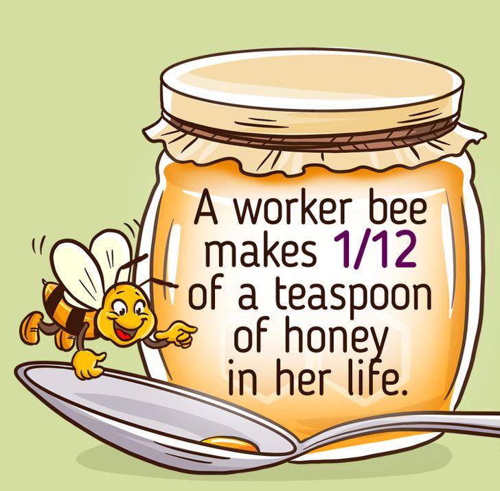 αν-δεν-έχετε-καλή-μέρα-σκεφτείτε-σα-μέλισσα-