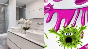 Μπάνιο :  Αυτά είναι τα 6 αντικείμενα που συγκεντρώνουν τα περισσότερα βακτήρια