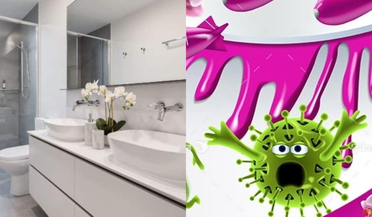 Μπάνιο :  Αυτά είναι τα 6 αντικείμενα που συγκεντρώνουν τα περισσότερα βακτήρια