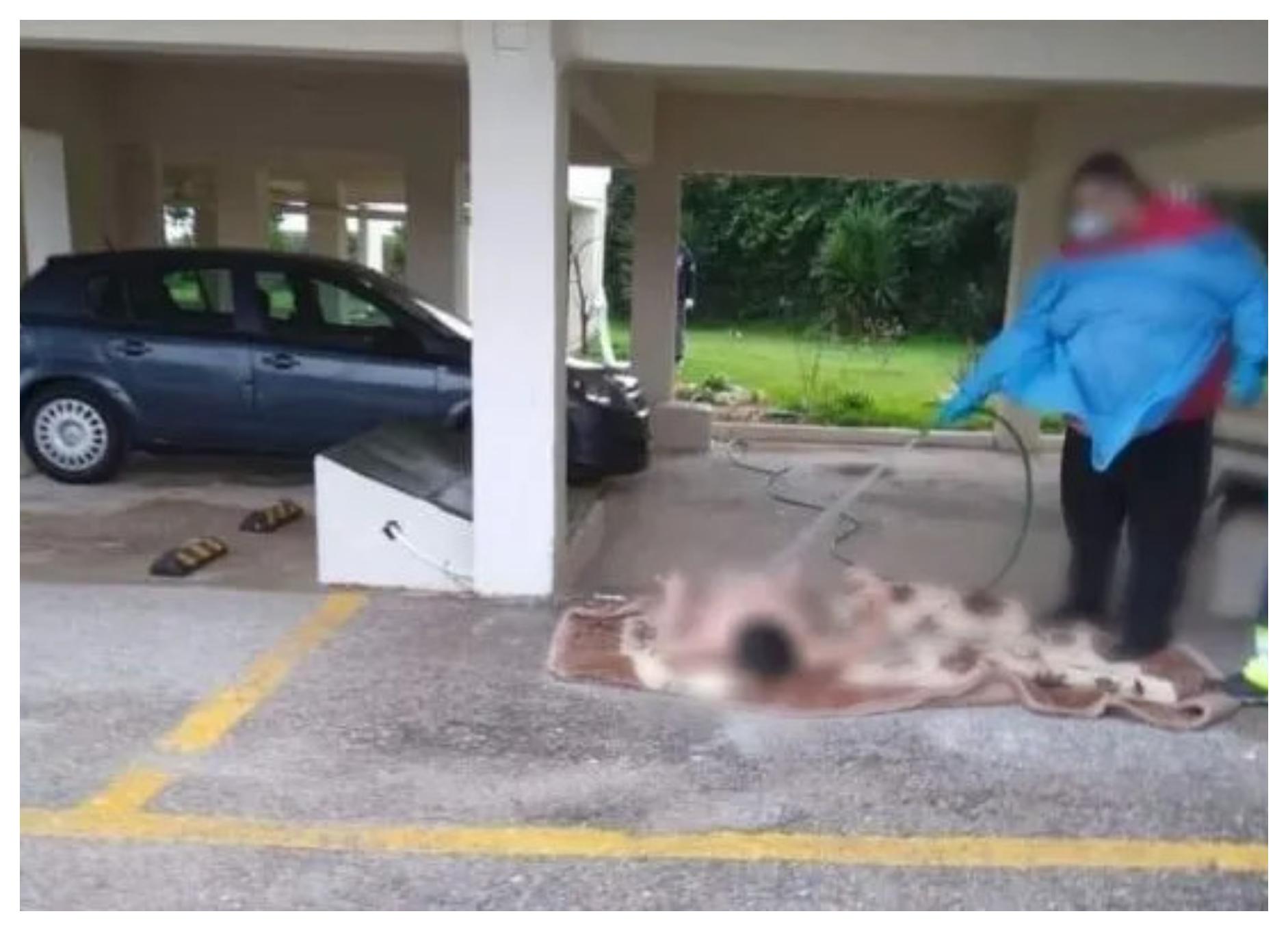 Ωρωπό : Εικόνες ντροπής – Νοσηλευτές έπλεναν γυναίκα με λάστιχο σε πυλωτή