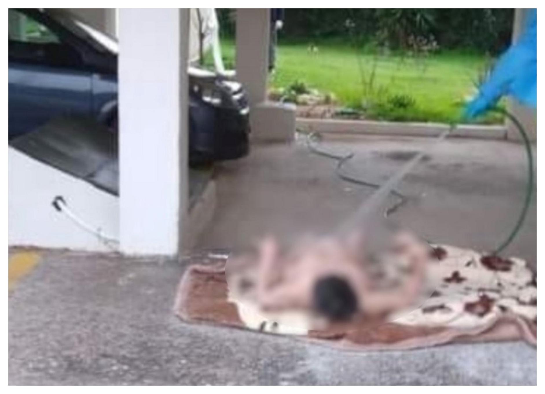 Ωρωπό : Εικόνες ντροπής – Νοσηλευτές έπλεναν γυναίκα με λάστιχο σε πυλωτή