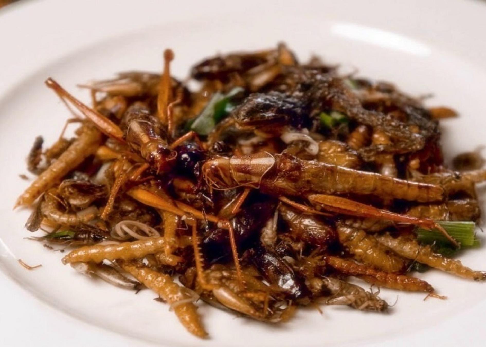 Aνησυχία στους επιστημονικούς φορείς προκαλεί η έγκριση στα τρόφιμα με αλεύρι από γρύλο, αλευροσκουλήκι και ακρίδα