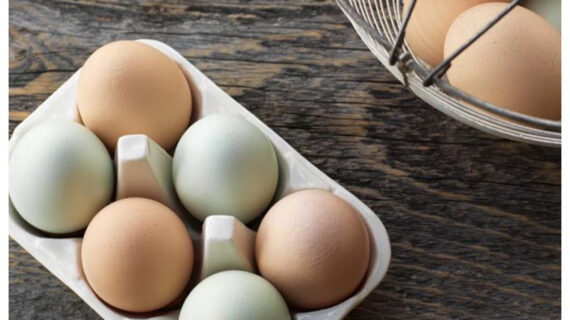 Πάσχα: Ποια η διαφορά μεταξύ άσπρων και καφέ αυγών – Ποια να βάψεις το Πάσχα