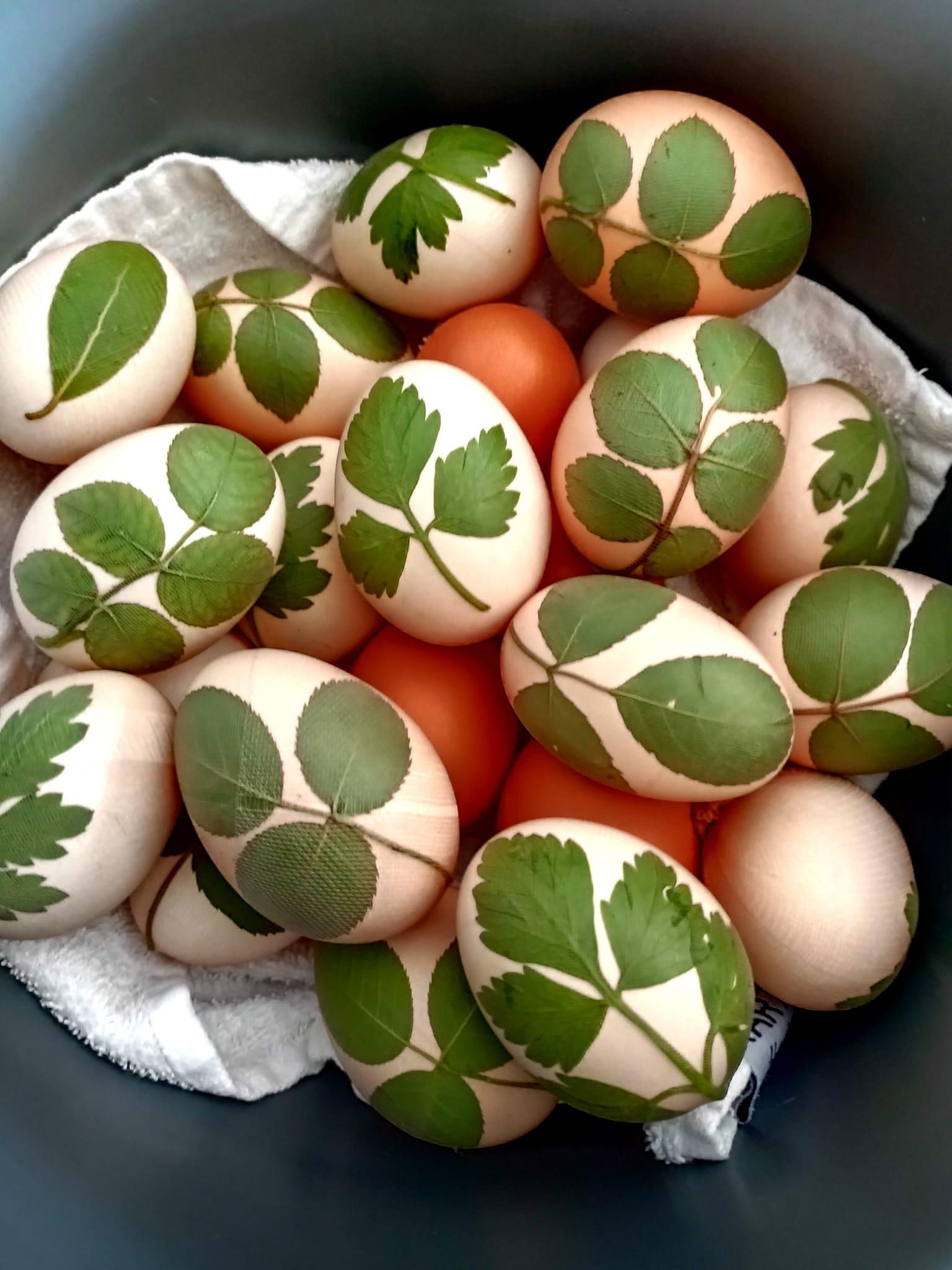 πασχαλινά αυγά-με-φύλλα-και-καλσόν-