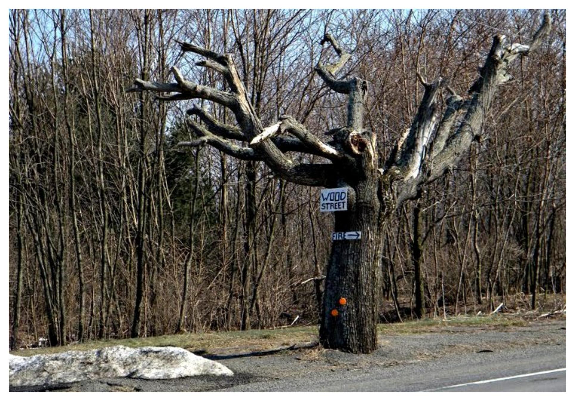 Silent Hill: Centralia η αληθινή πόλη – φάντασμα που «σκότωνε» τους κατοίκους της