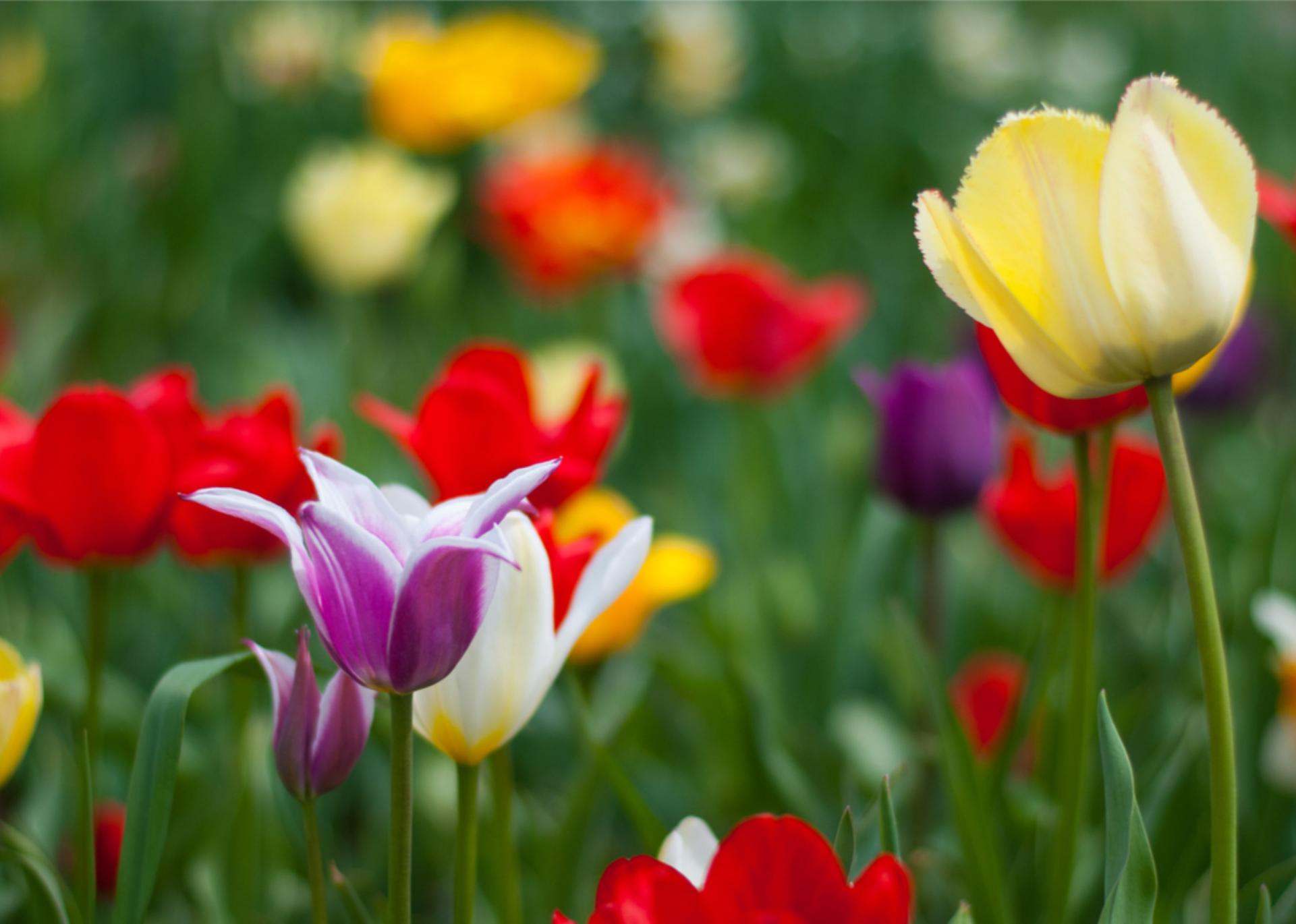 Άση Μπήλιου: Ο Μάιος ξεκινά με ένταση καταλήγει όμως με θετικές προοπτικές – Ποιοι θα είναι οι πρωταγωνιστές του;