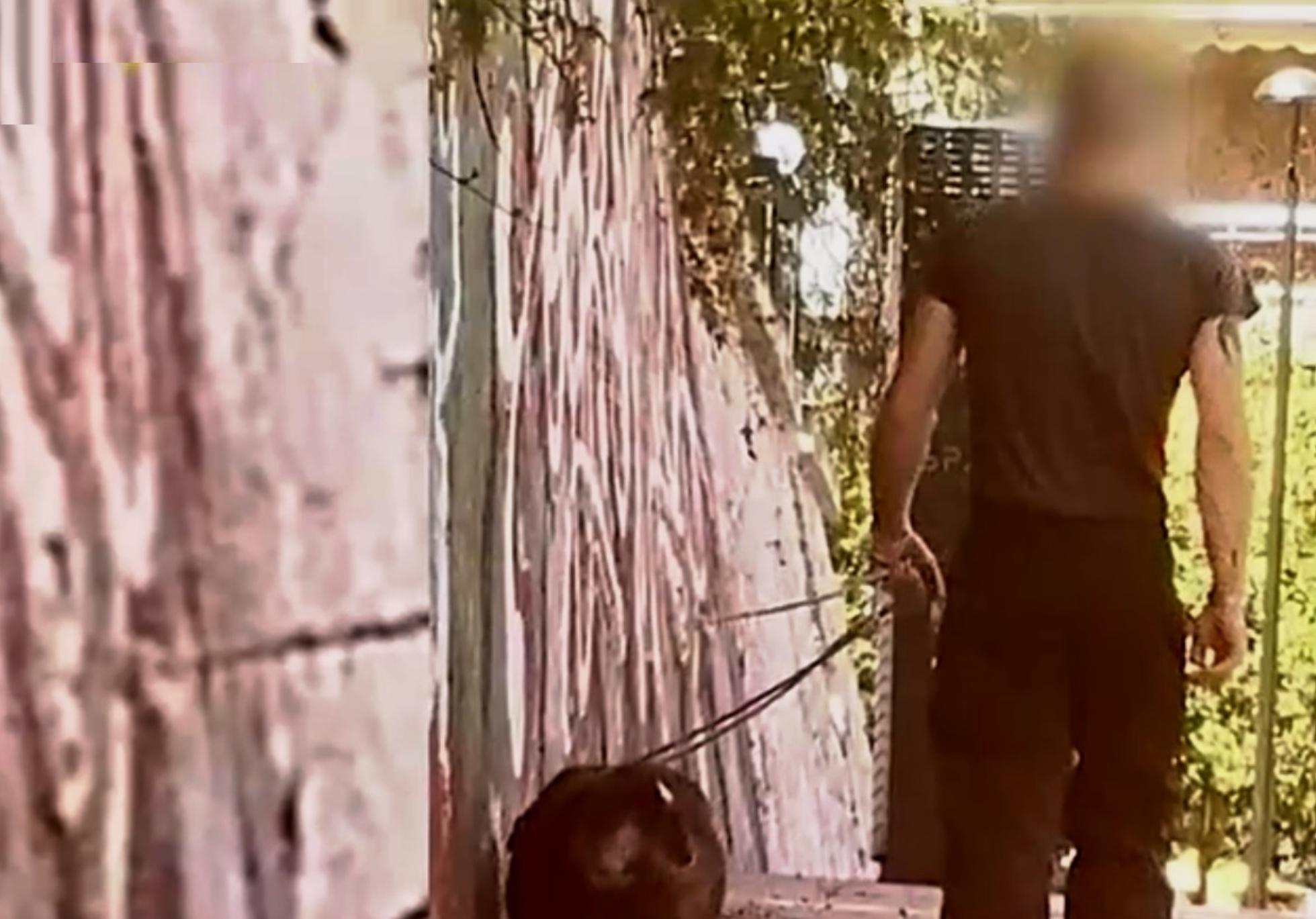 Βύρωνας: Ταυτοποιήθηκε ο άνδρας που έβαζε πίτμπουλ να σκοτώνει γάτες-Είχε πάει και στο Master Chef