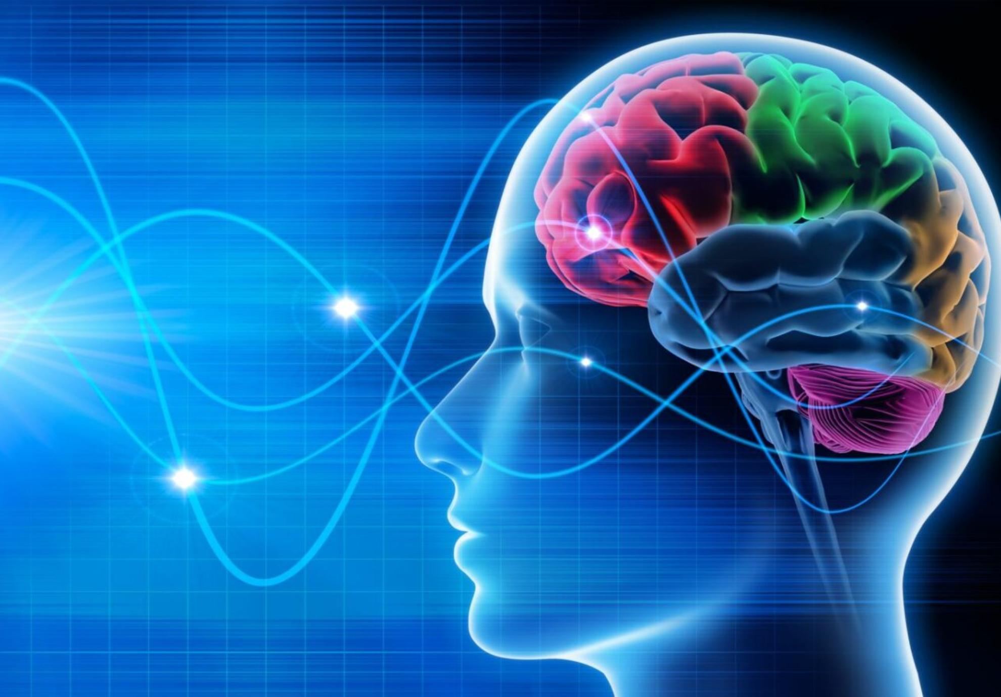 Το «φως στην άκρη του τούνελ»: Τι συμβαίνει στην καρδιά και τον εγκέφαλο δευτερόλεπτα πριν τον θάνατο