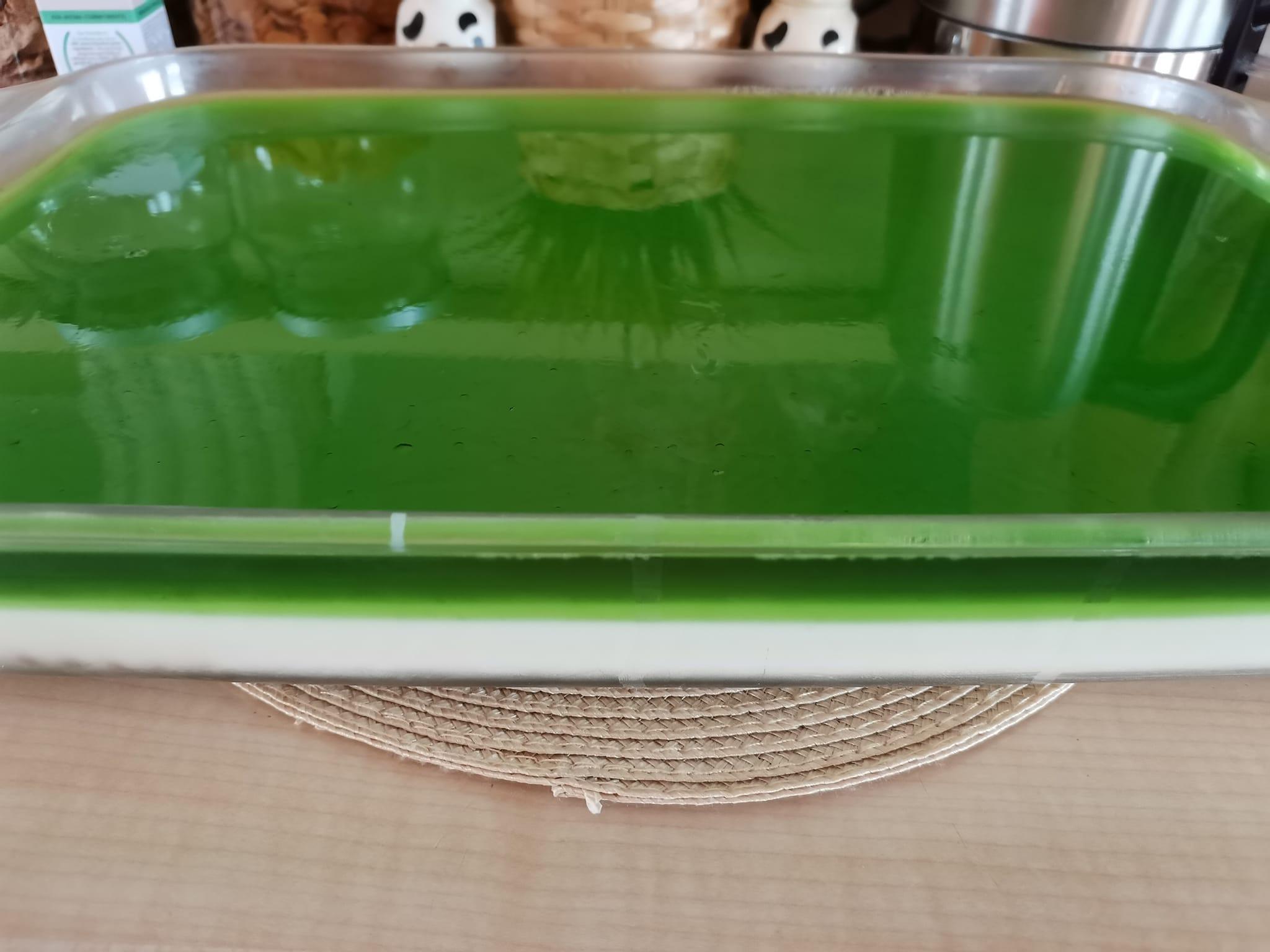 μπισκοτόγλυκο-με-ζελέ-συνταγή-