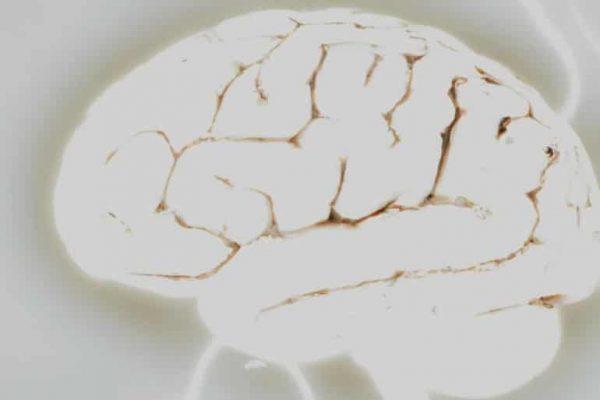 Έρευνα: Εντοπίστηκαν δείγματα συνείδησης σε ετοιμοθάνατους εγκεφάλους