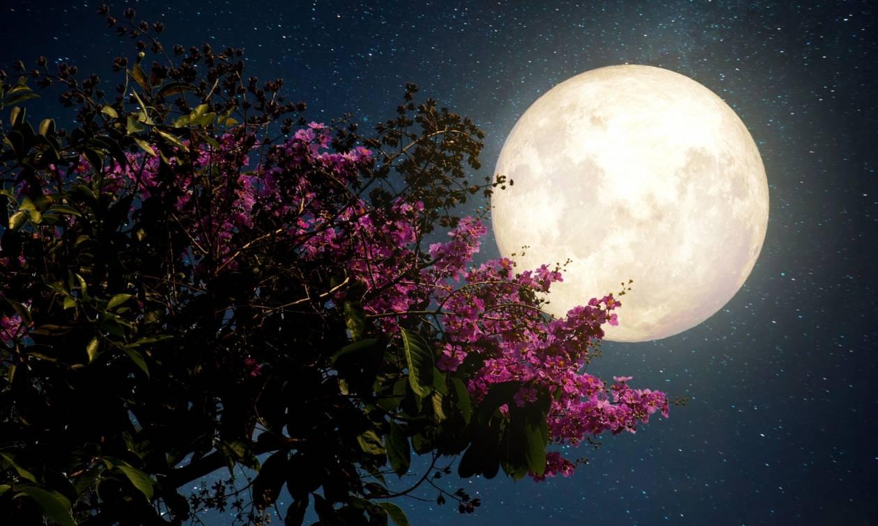 Πανσέληνος Μαΐου 2023: Απόψε το «Φεγγάρι των λουλουδιών» – Γιατί ονομάζεται έτσι