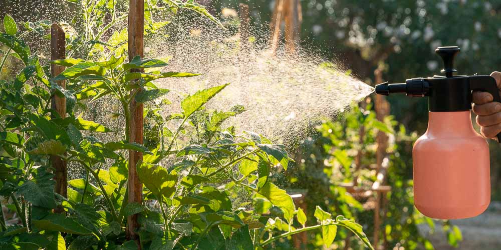 νευροαναπτυξιακές διαταραχές-σε-εγκύους-και-παιδιά-τα-εντομοκτόνα- νευροαναπτυξιακές διαταραχές-σε-εγκύους-και-παιδιά-τα-εντομοκτόνα-