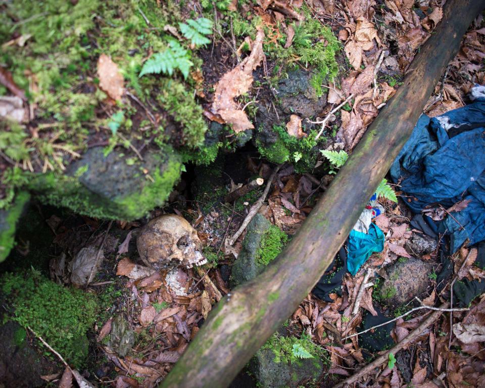 Το δάσος που όποιος πατάει το πόδι του αυτοκτονεί: Εσύ τολμάς να πας