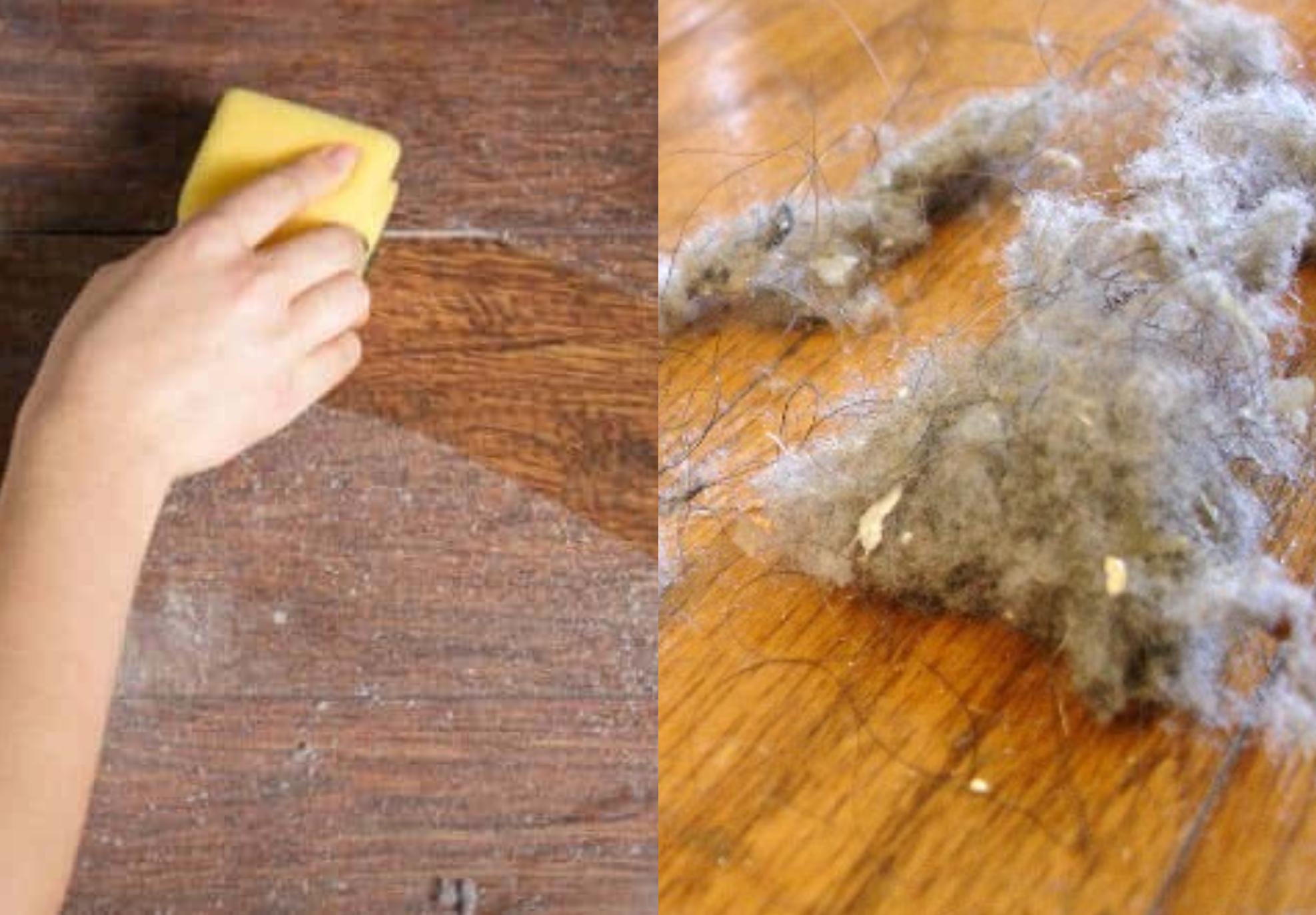 Κολλημένη σκόνη στα έπιπλά και στο σπίτι: Το σπιτικό καθαριστικό που θα την διώξει για μέρες