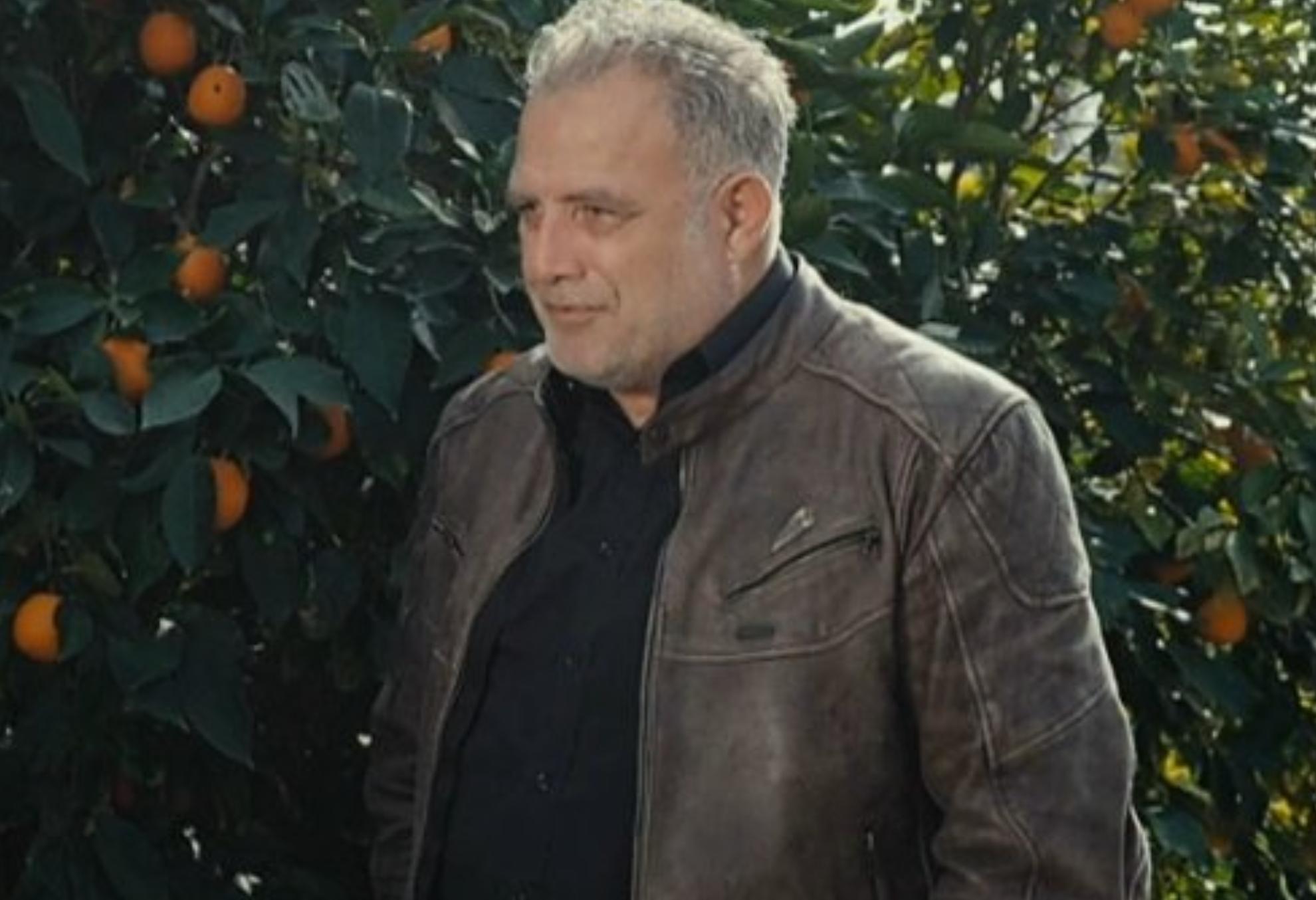 Η Γη της Ελιάς-Στάθης-