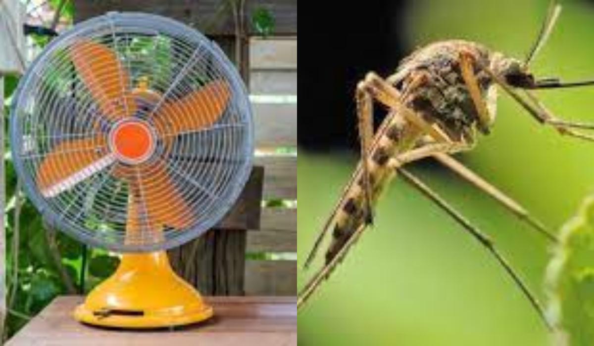 Ξέχνα ταμπλέτα και φιδάκι : Με έναν ανεμιστήρα και ανθρακούχο νερό σκοτώνεις μέχρι και 4.000 κουνούπια σε μία νύχτα