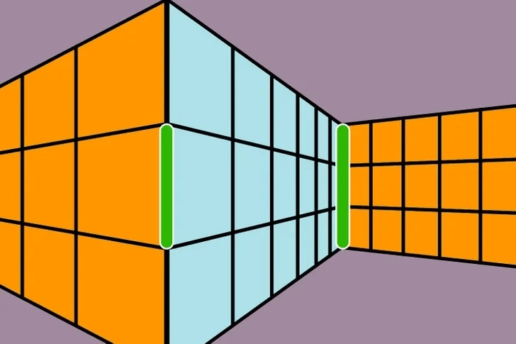 οπτική-ψευδαίσθηση-τεστ-με-εικόνες-