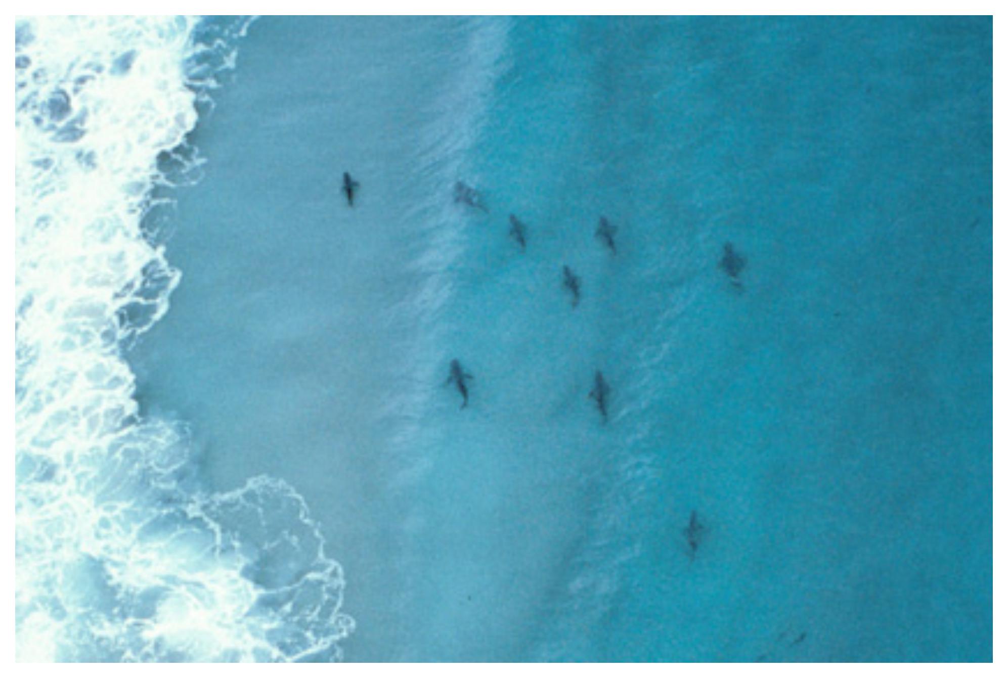 Οι πιο επικίνδυνες παραλίες στον πλανήτη