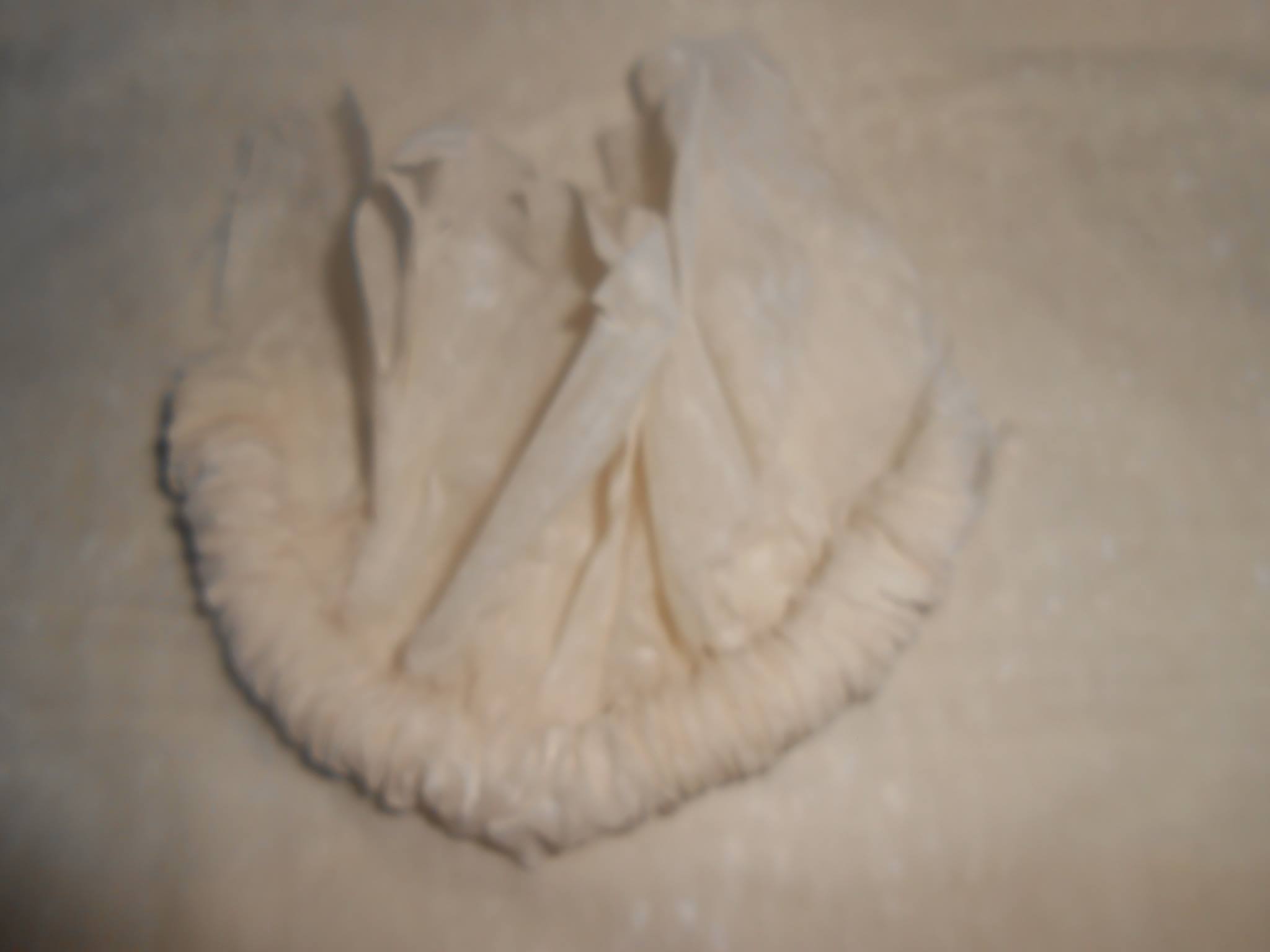 στεφανάκια-πίτσας-συνταγή- στεφανάκια-πίτσας-συνταγή-