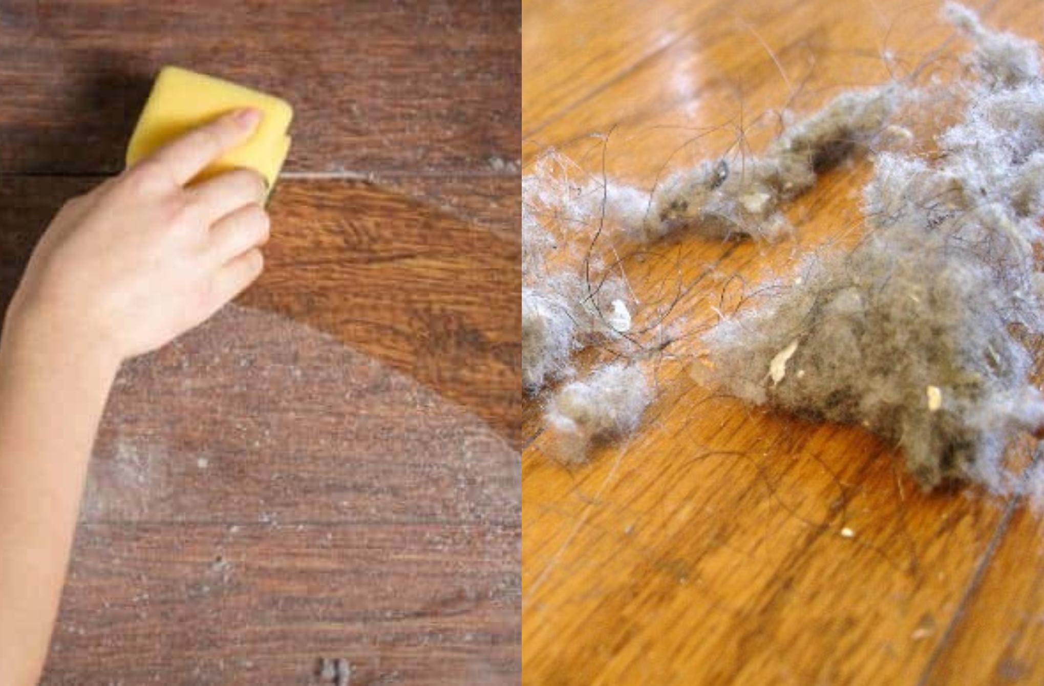 Επίμονη σκόνη και χνούδια στο σπίτι δείτε ποια αντικείμενα που κάνουν το σπίτι συνεχώς σκονισμένο και τι μπορείτε να κάνετε