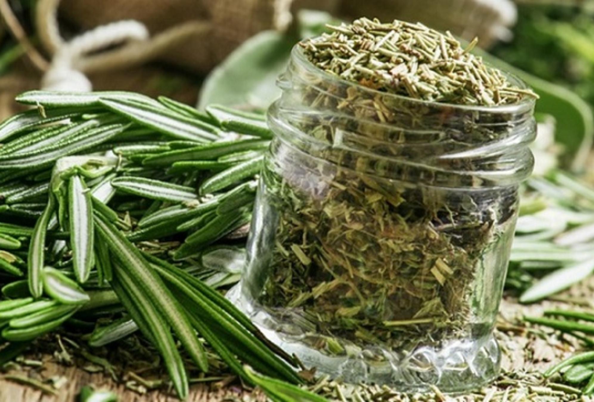 Δεντρολίβανο: Το βότανο με τις μαγικές ιδιότητες και τις πολλές χρήσεις που θα σας λύσουν τα χέρια